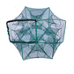 Auto-Foldable Strengthened Fishing Trap Net（50% OFF）