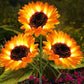 ⏳Limited-time 50% off🌞Solar LED Sunflower Garden Lights-29.6inch/75cm