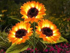 ⏳Limited-time 50% off🌞Solar LED Sunflower Garden Lights-29.6inch/75cm