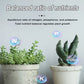 ✨Slow-Release Tablet Organic Fertilizer