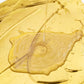 ⏳Limited time special⏰Weather-resistant water-based gold paint💛