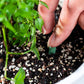 Slow-Release Plant Fertilizer Sticks