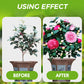 ✨🔥All-Purpose Plant Liquid Fertilizer - No Dilution Required