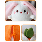 🍓 Hot 50% off 🍓 Easter Cute Persimmon Bunny 🐰 and Piggy 🐷 Plush Toys