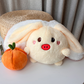 🍓 Hot 50% off 🍓 Easter Cute Persimmon Bunny 🐰 and Piggy 🐷 Plush Toys