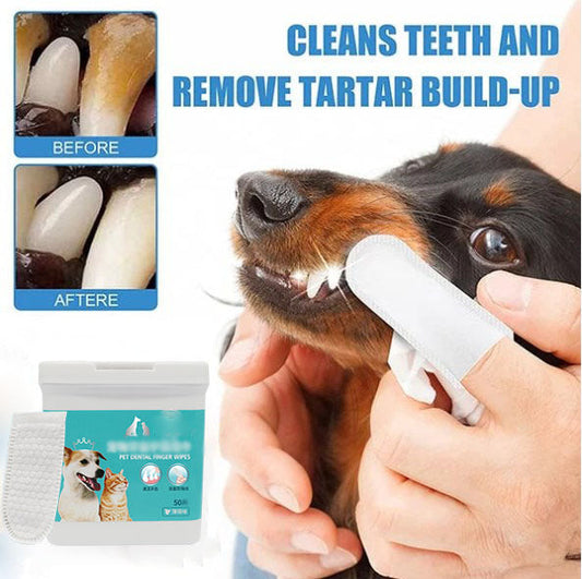 Finger wipes for dental cleaning of pets