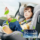 Natural Plant-Based Air Freshener for Room & Car