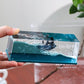 Never Sinking Ship Car Accessories