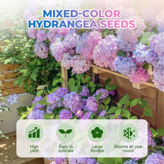 Mixed-Color Hydrangea Seeds