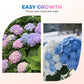 Mixed-Color Hydrangea Seeds