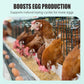 Egg Booster Feed Supplement