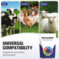 Probiotic & Enzyme Feed Additive