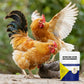 Natural Dual-Action Livestock Dewormer