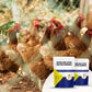 Natural Dual-Action Livestock Dewormer