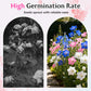 Mixed Colors Easy To Grow Lisianthus Seeds 