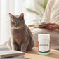 100 broad-spectrum antiparasitic tablets