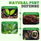 High Concentration Eco-Friendly Compost Bacteria