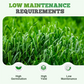 Hardy & Fast-Growing Ryegrass Seeds