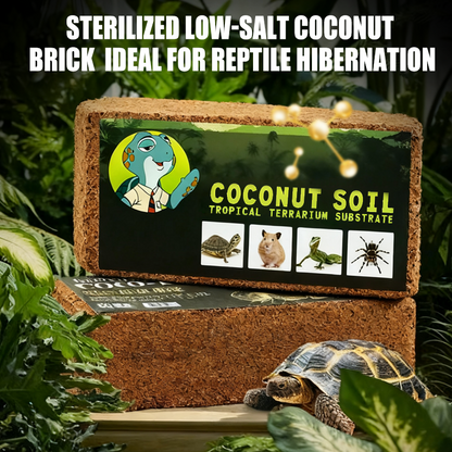 Sterilized Low-Salt Coconut Brick Ideal for Reptile Hibernation