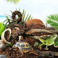 Sterilized Low-Salt Coconut Brick Ideal for Reptile Hibernation