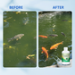 250ml Natural Anti-Parasite for Fish Pond