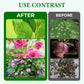 Water-Soluble Insecticide Capsules for Healthy Flowers