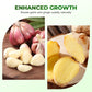 Vegetable Microbial Inoculant for Garlic & Ginger