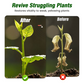 50ml Plant Growth Liquid for Seedlings & Cuttings