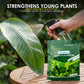 ⚡Rapid Green-Up Foliar Fertilizer 🍃