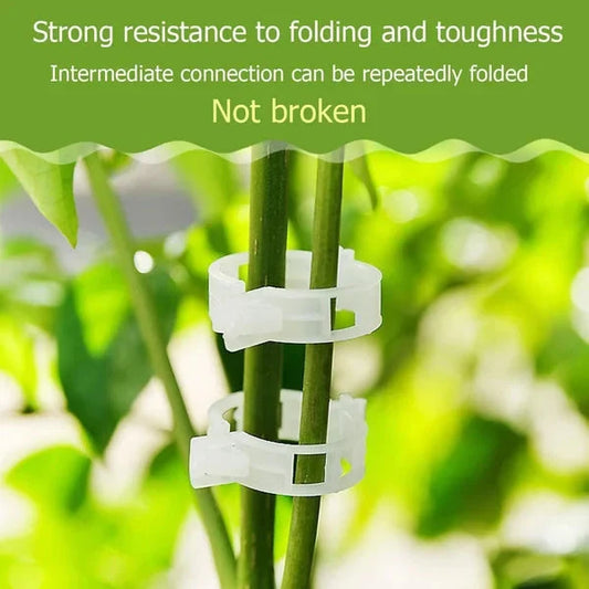 💥2026 Hot Sale 49% OFF💥 Secured Plastic Plant Clip（BUY 3 GET 2 FREE）