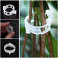 💥2026 Hot Sale 49% OFF💥 Secured Plastic Plant Clip（BUY 3 GET 2 FREE）