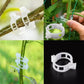 💥2026 Hot Sale 49% OFF💥 Secured Plastic Plant Clip（BUY 3 GET 2 FREE）