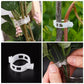 💥2026 Hot Sale 49% OFF💥 Secured Plastic Plant Clip（BUY 3 GET 2 FREE）