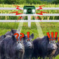 🚫 Beast Repellent Solar Warning Lights with Loud Volume🐗⚡