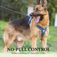 🐕 50% OFF! 🔦 Tug-free dog harness with lead & LED collar – relieves pressure, soft nylon & perfect for night-time walks and training 🌙