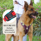 🐕 50% OFF! 🔦 Tug-free dog harness with lead & LED collar – relieves pressure, soft nylon & perfect for night-time walks and training 🌙