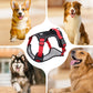 🐕 50% OFF! 🔦 Tug-free dog harness with lead & LED collar – relieves pressure, soft nylon & perfect for night-time walks and training 🌙