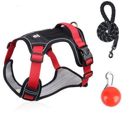🐕 50% OFF! 🔦 Tug-free dog harness with lead & LED collar – relieves pressure, soft nylon & perfect for night-time walks and training 🌙