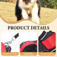 🐕 50% OFF! 🔦 Tug-free dog harness with lead & LED collar – relieves pressure, soft nylon & perfect for night-time walks and training 🌙