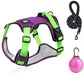 🐕 50% OFF! 🔦 Tug-free dog harness with lead & LED collar – relieves pressure, soft nylon & perfect for night-time walks and training 🌙