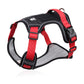 🐕 50% OFF! 🔦 Tug-free dog harness with lead & LED collar – relieves pressure, soft nylon & perfect for night-time walks and training 🌙