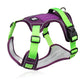 🐕 50% OFF! 🔦 Tug-free dog harness with lead & LED collar – relieves pressure, soft nylon & perfect for night-time walks and training 🌙