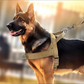 🏆LAST DAY SALE: ONLY ￡10.99!!🎁✨Heavy-Duty Tactical Dog Harness with Handle🐕