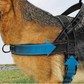 🏆LAST DAY SALE: ONLY ￡10.99!!🎁✨Heavy-Duty Tactical Dog Harness with Handle🐕