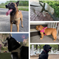 🏆LAST DAY SALE: ONLY ￡10.99!!🎁✨Heavy-Duty Tactical Dog Harness with Handle🐕