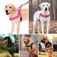 🏆LAST DAY SALE: ONLY ￡10.99!!🎁✨Heavy-Duty Tactical Dog Harness with Handle🐕