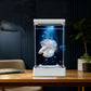 Betta Fish Tank with 7-Color LED Light